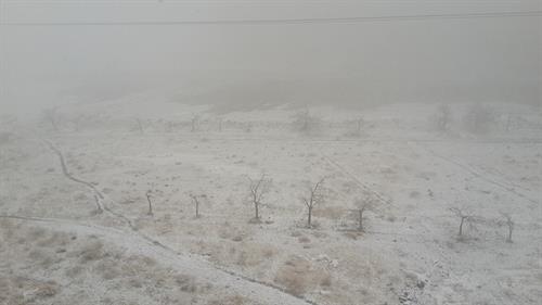 man asemanam&nbsp;asadian