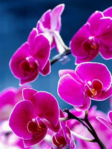 elnaz&nbsp;eliiiiiiiiiii