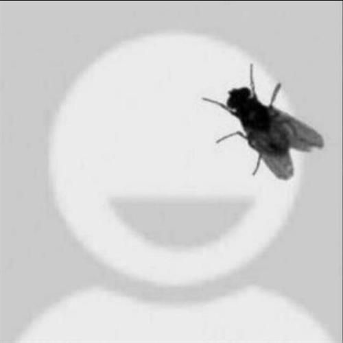 saeid&nbsp;keshavarz