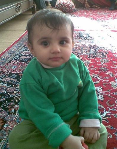 reza&nbsp;shahaby
