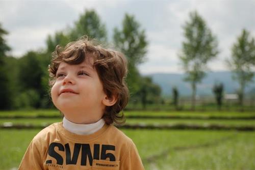   yaashaar  &nbsp;omedi