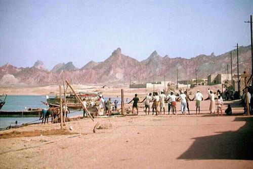 vahid&nbsp;mohammadi