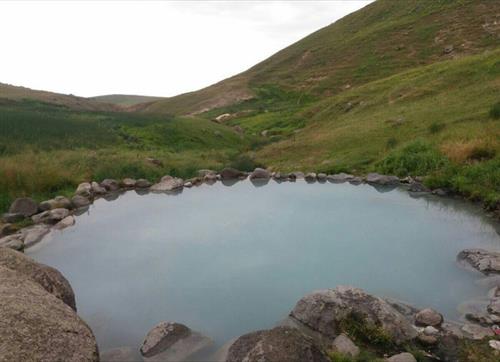 bardia&nbsp;tavakkoli