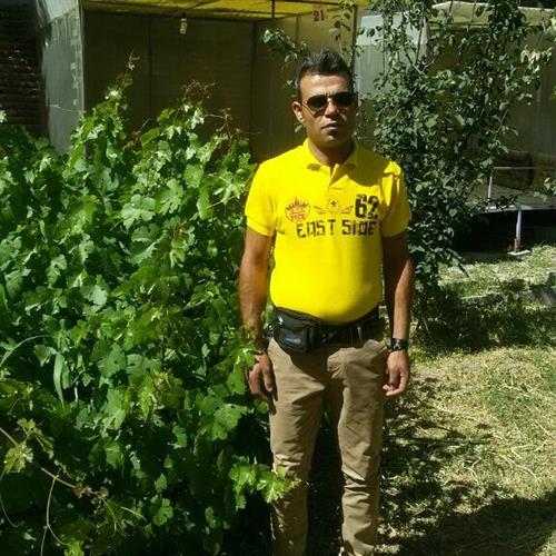 حیدر&nbsp;نیاری