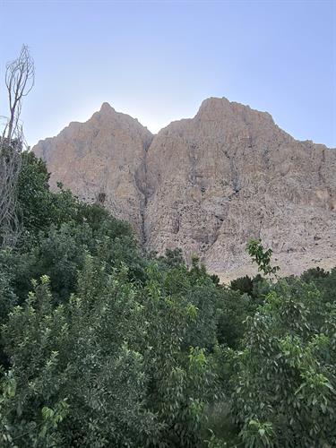 عباس &nbsp;حیدری