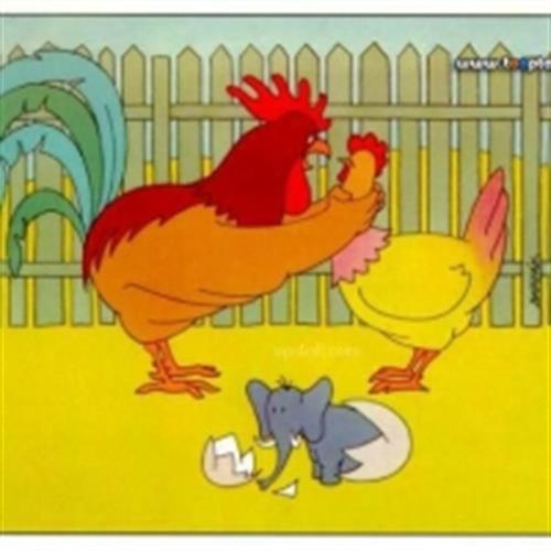 omidrad2010&nbsp;omidrad