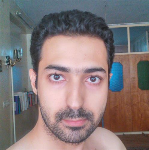 وحید &nbsp;فرهادی 