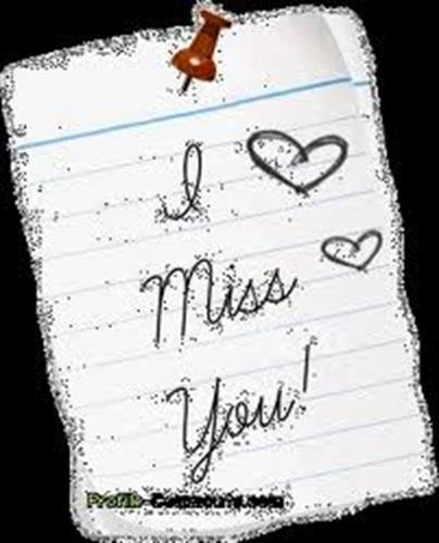 sheyda&nbsp;tafazoli