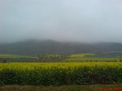 behrooz&nbsp;behroozi