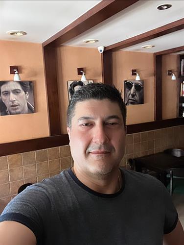 avesta&nbsp;minbashian