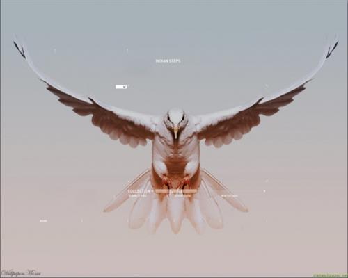 milad&nbsp;mohammadi