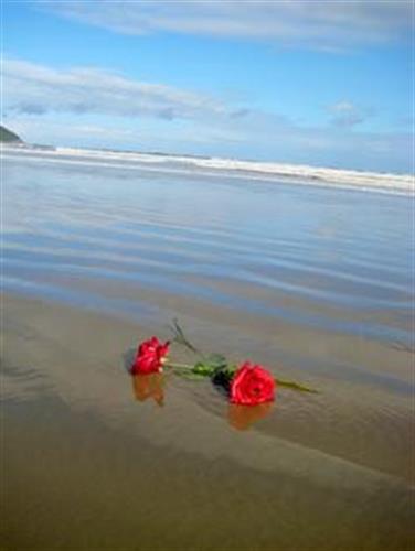 ايدين&nbsp;محمدي