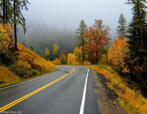 shiraz 42 m&nbsp;omid_hrj