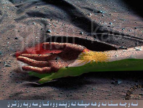 shahrooz&nbsp;ahmadi