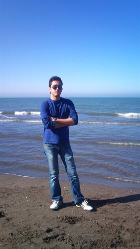 aria&nbsp;shams
