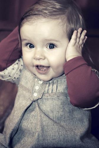 ali akbar&nbsp;alaey