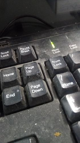 davood&nbsp;mortazavi