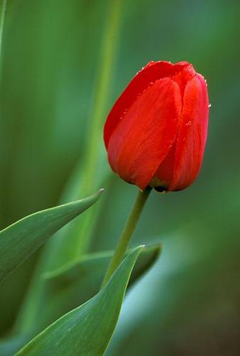 ali jooooooon&nbsp;jigar