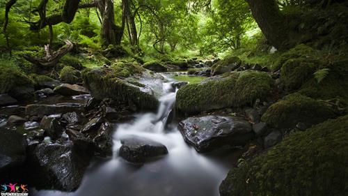 farshid&nbsp;farshidy