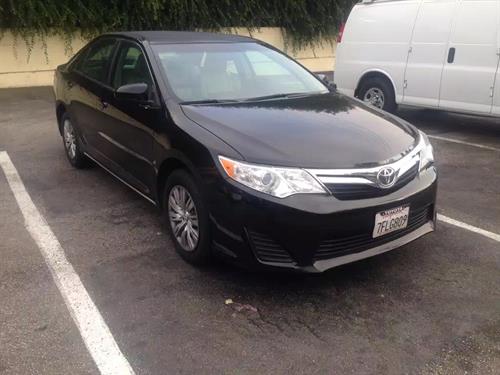 jamshid&nbsp;tehrani