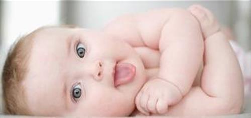 farzaneh&nbsp;farokhi