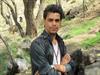 shahrokh