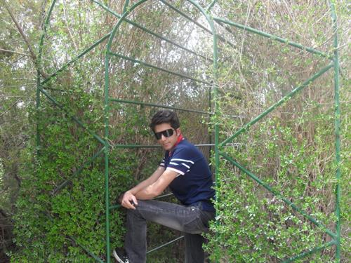 roozbeh&nbsp;bakhshi