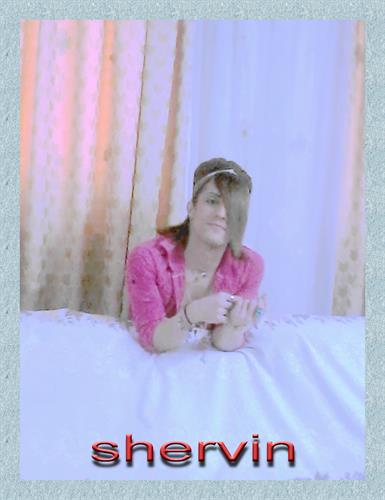 shervin&nbsp;parvizy