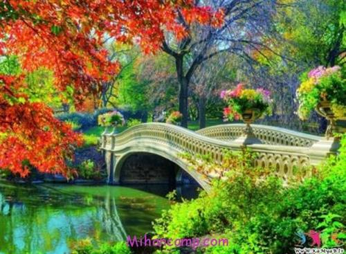 behruz&nbsp;عنایت