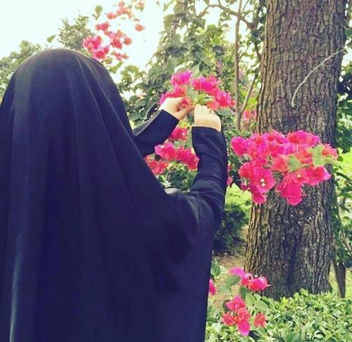 الی&nbsp;دانشور