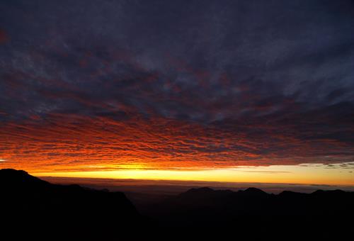 kayvan&nbsp;mozafari