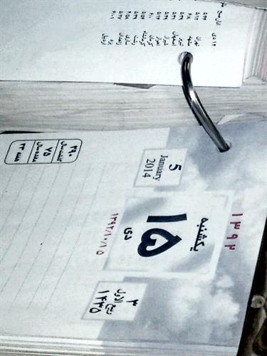 siyavash&nbsp;shayegan