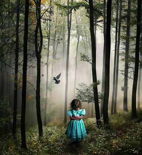 satayash&nbsp;sanaey