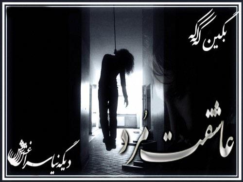 ***----truce----***&nbsp;**********