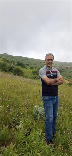 داود&nbsp;باقی