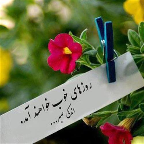 کوروش&nbsp;آریائی
