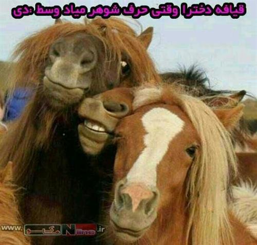 ghjghjg&nbsp;hgjghj