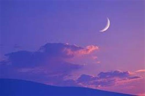 محسن&nbsp;میرزایی