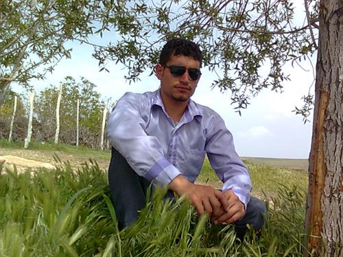 hamed &nbsp;heshmatyan