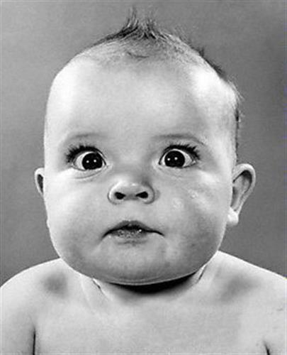 arash&nbsp;zamindarfaza@yahoo.com