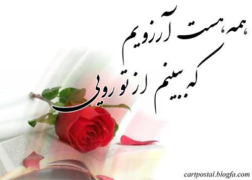 saeed &nbsp;khezli