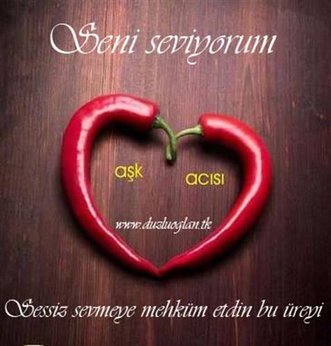 amir &nbsp;gham.amir@yahoo.com