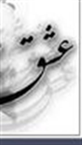 hamzeh&nbsp;mehrvarz