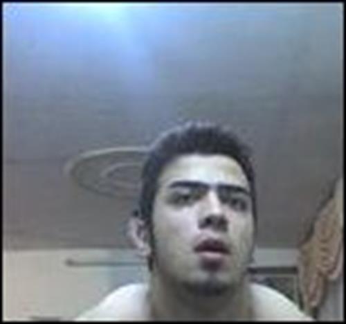 hamidreza&nbsp;habibi