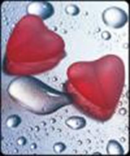 88888888&nbsp;talebi