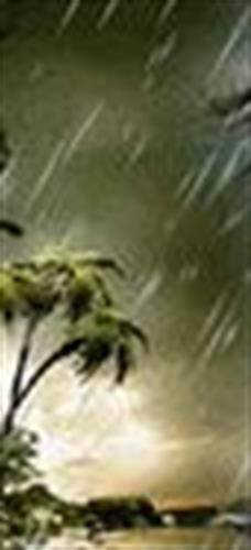 ehsan&nbsp;ali mohamadi