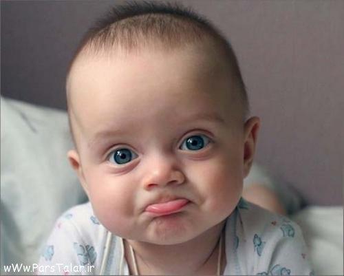 رضا&nbsp;مشیری