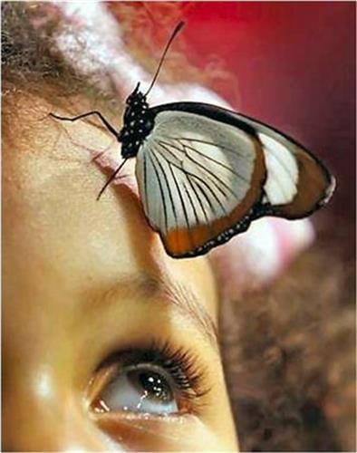 laleh&nbsp;poorhosseini