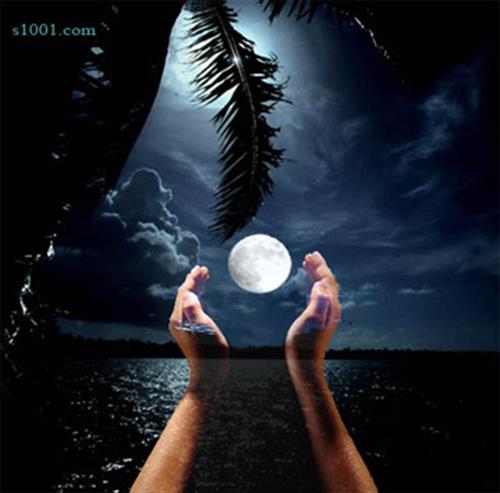 mohamad&nbsp;yazdani