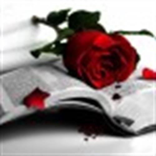 pedram&nbsp;bonakdaar